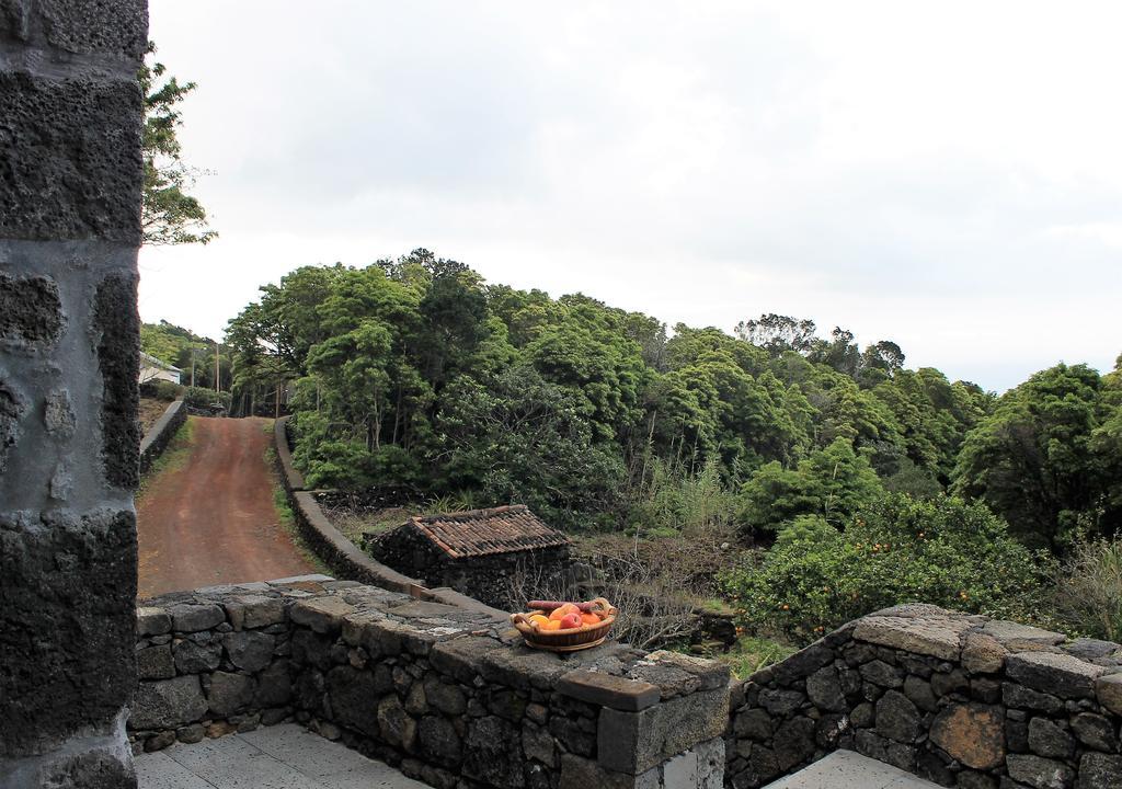 Pico Formoso Vinea Lava Alojamentos Pico Prainha  Kültér fotó